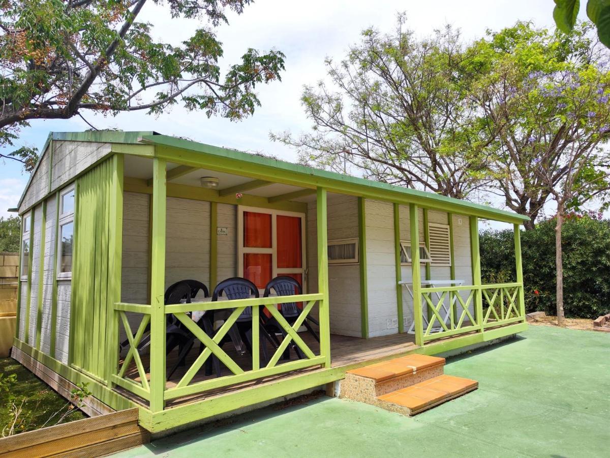 El Jardin El Campello